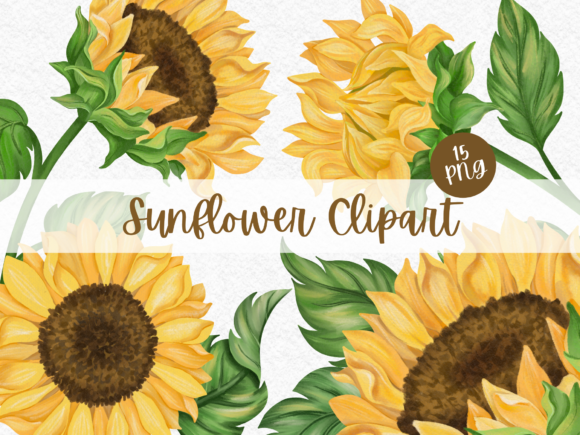 Download Sunflower Watercolor Digital Clipart - Flower Collection