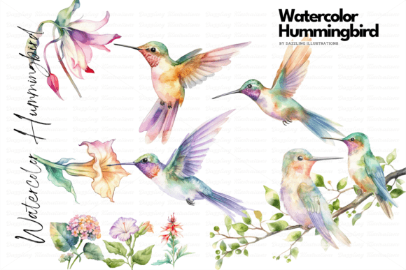 Download Watercolor Hummingbird Set with Flowers - Flower Collection