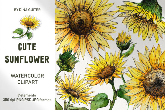 Download SUNFLOWER - Flower Collection