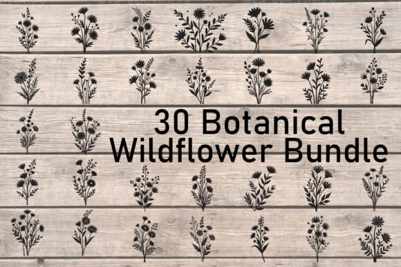 Download Botanical Wildflower Bundle - Flower Collection