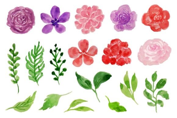 Download Beautiful Summer Flower Watercolor - Flower Collection