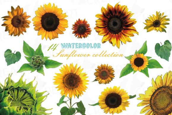 Download Sunflower Watercolour Decor Clipart Pack - Flower Collection
