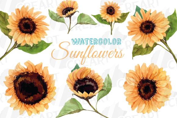 Download Sunflower Watercolor Decoration Clip Art - Flower Collection