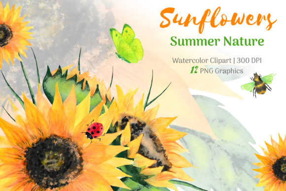 Download Sunflower Watercolor Clipart - Flower Collection