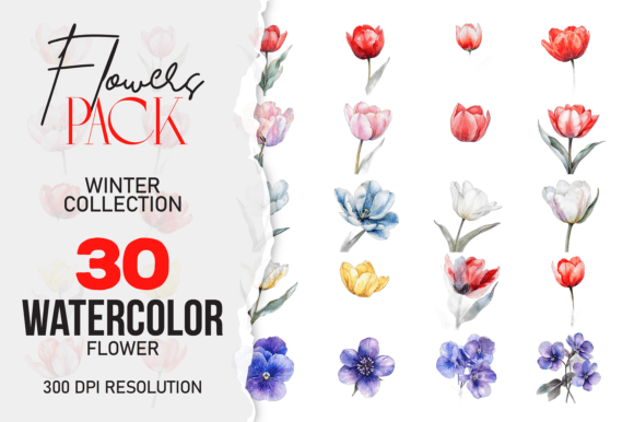 Download Wild Floral Clipart, Watercolor Flower C - Flower Collection