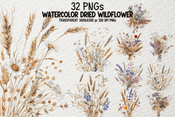Download Watercolor Dried Wildflower Bundle PNG - Flower Collection