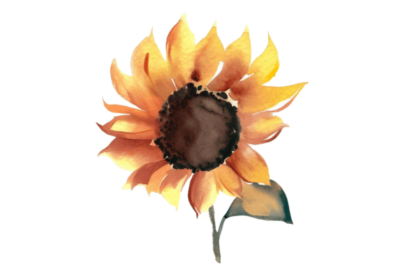 Download Fall Sunflower Watercolor Clipart Vol–9 - Flower Collection
