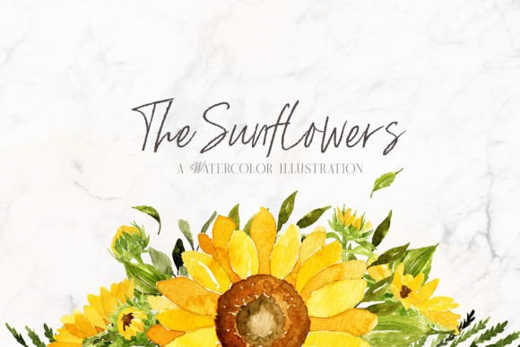 Download Sunflowers Watercolor Illustrations - Flower Collection