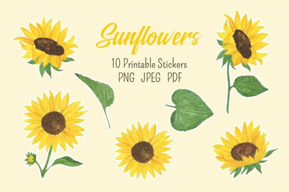Download Sunflower Stickers - Flower Collection