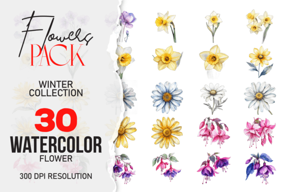 Download Wild Floral Clipart Watercolor Flowers - Flower Collection