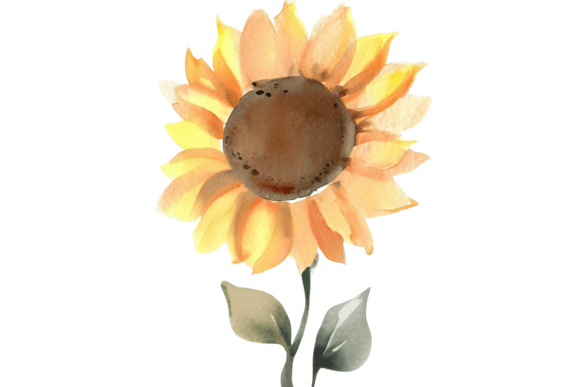 Download Fall Sunflower Watercolor Clipart Vol–7 - Flower Collection