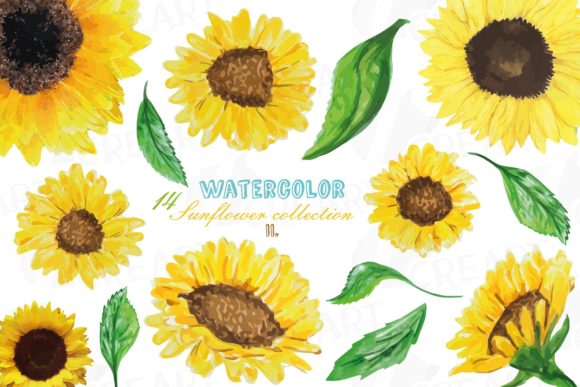 Download Sunflowers Watercolor Decor Elements Png - Flower Collection