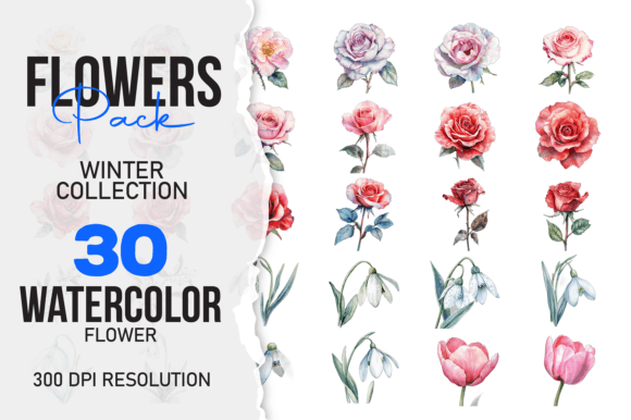 Download Wild Floral Clipart Watercolor Flowers S - Flower Collection