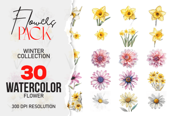 Download Wild Floral Clipart Watercolor Flowers - Flower Collection