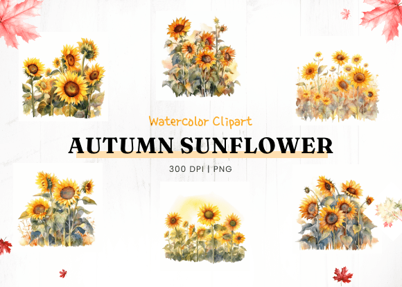 Download Autumn Sunflower Watercolor Clipart - Flower Collection