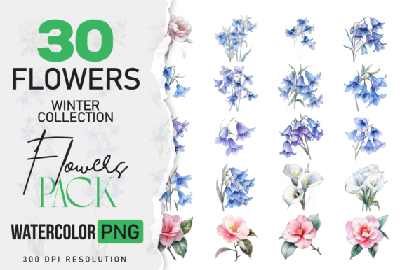 Download Wild Floral Clipart Watercolor Flowers - Flower Collection