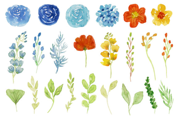 Download Spring and Summer Flower Watercolor - Flower Collection