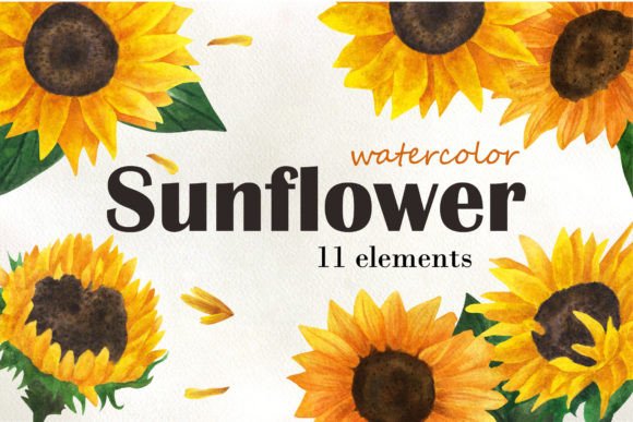 Download Sunflower Watercolor Clipart - Flower Collection