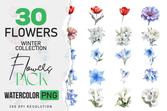 Download Watercolor Winter Flower 30 Pack - Flower Collection